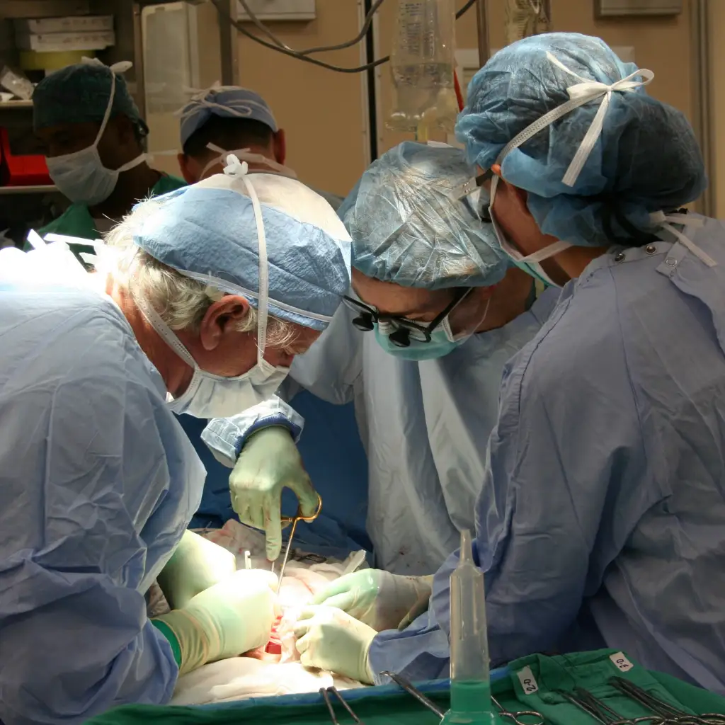 Robotic kidney Transplant